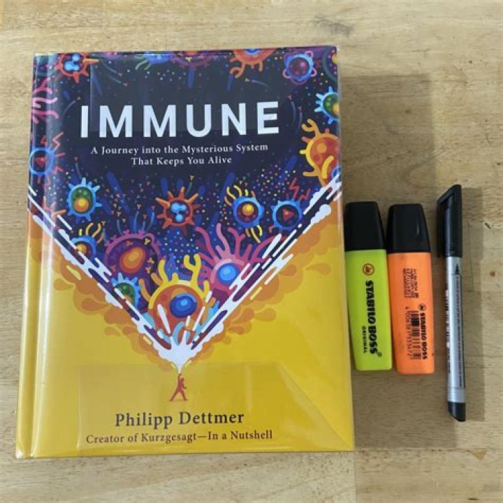 A Journey Into Talent And Inspiration