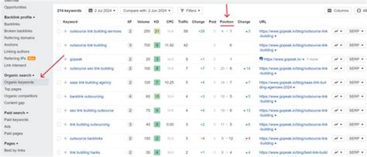 Accurately Monitor Your Keyword Positions In Google | Track Rank