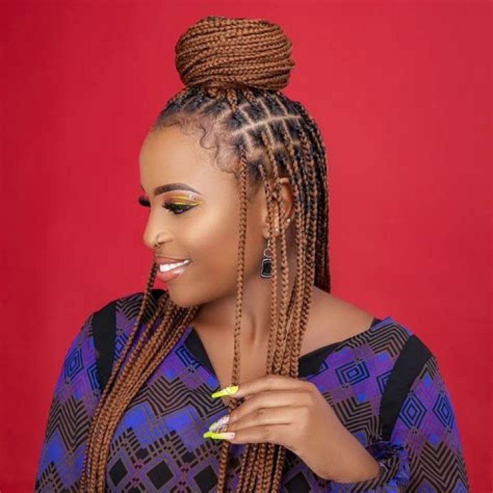 Beautiful African Hair Braiding Styles [Photos]