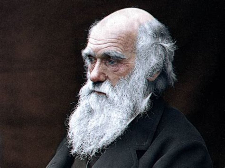 Discover The Life And Legacy Of Charles Lange, The Pioneer Of Psychology