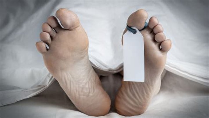 Discover The Unseen: Lacey Fletcher Autopsy Photo Examination