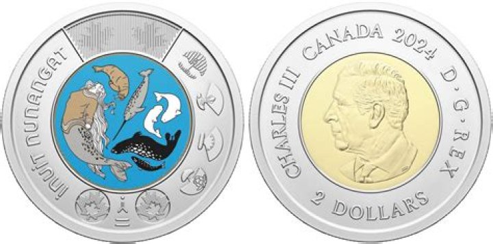 Exploring Davido's Net Worth In Dollars 2024: A Deep Dive