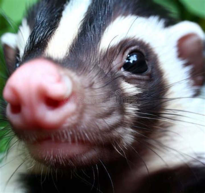 Exploring His Girlfriend's Charming Presence