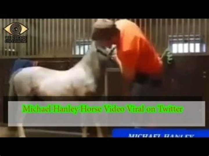 Inside The "Michael Hanley Horse Video Original"