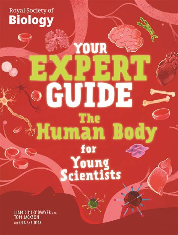 Meet John Behrendt: Your Expert Guide To [Topic]