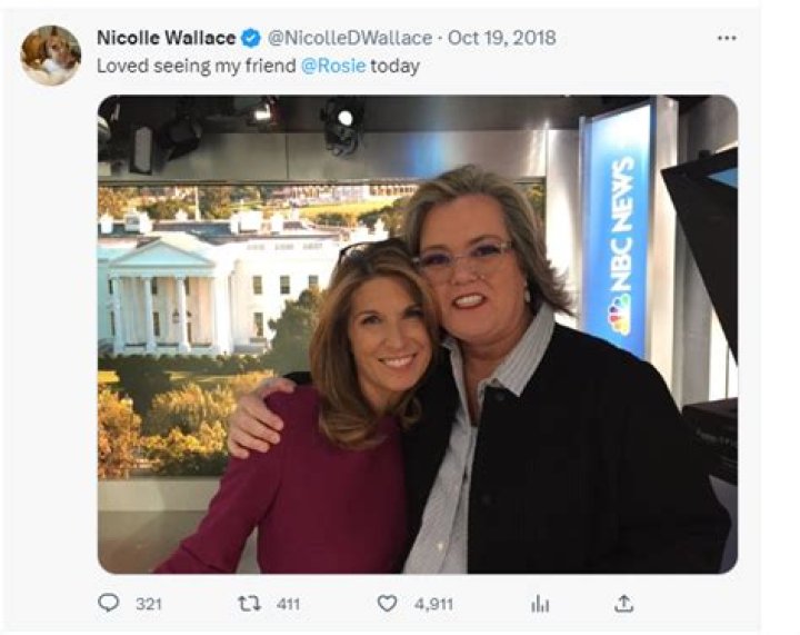 Nicole Wallace's Divorce And Its Untold Truths