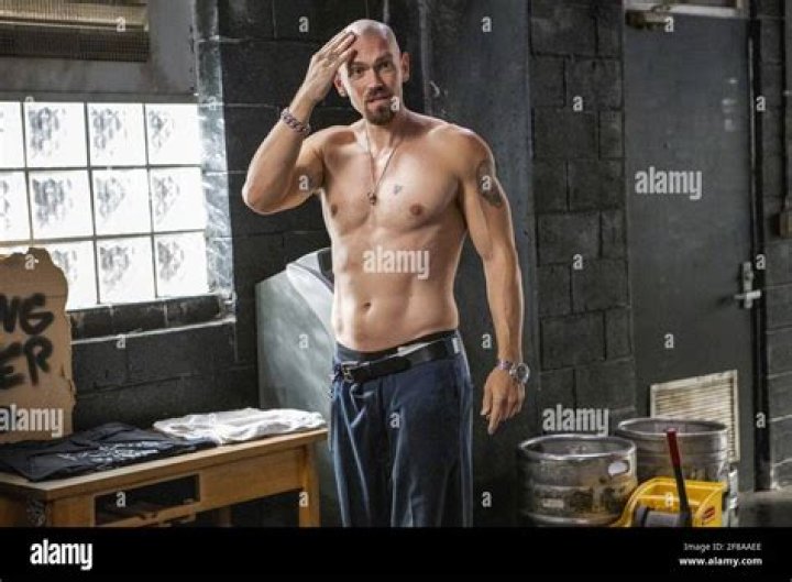 Shameless Star Steve Howey: All The Details