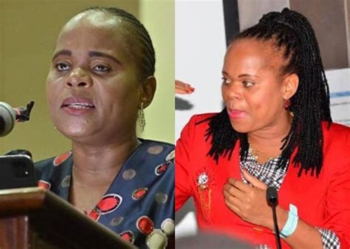 The Definitive Guide To Phophi Ramathuba's Age
