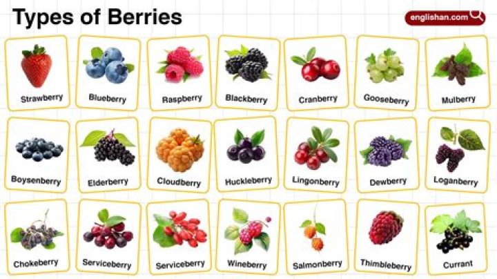 The Ultimate Guide To Berry Sergio: Varieties, Cultivation, And Uses