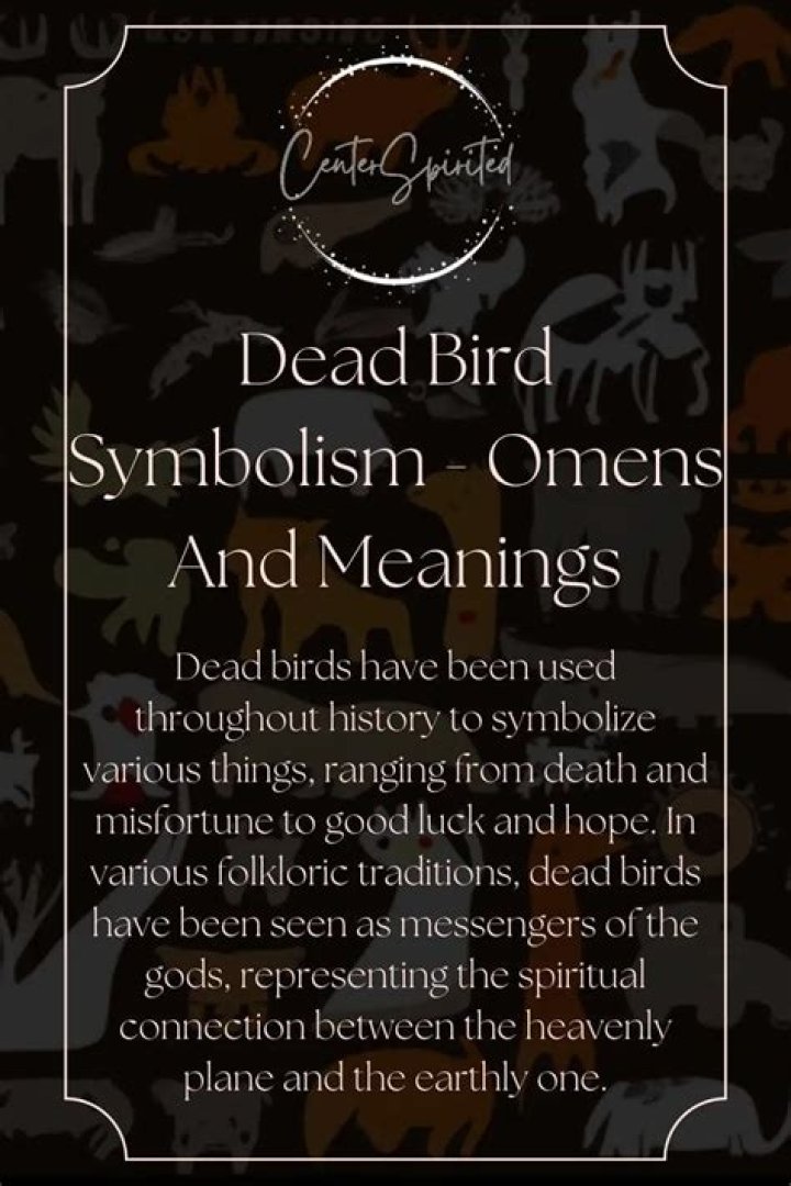 The Ultimate Guide: Unraveling The Meaning Behind Dead Crow Omens