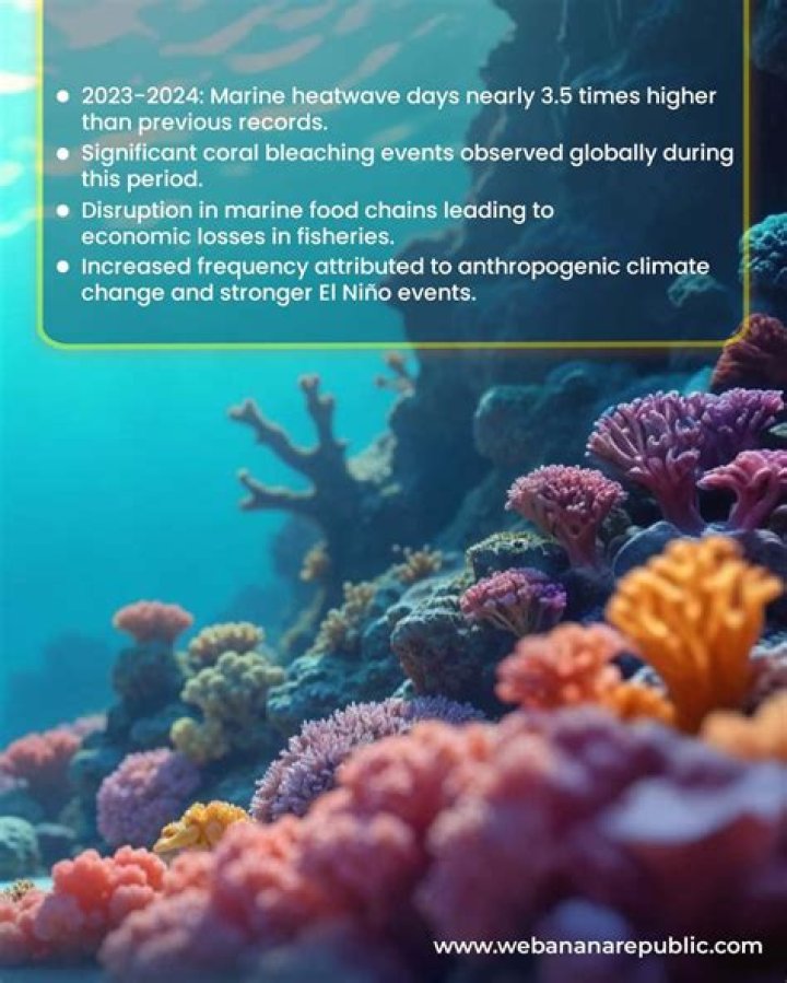 Uncover Unprecedented Insights Into Life Experiences