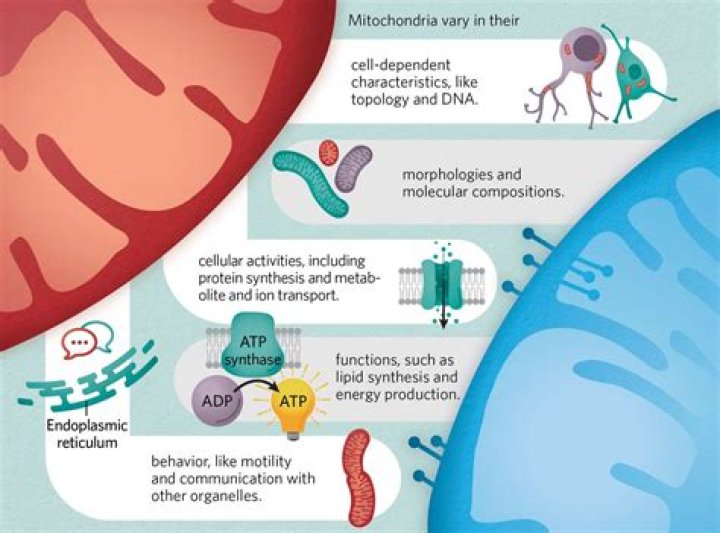 Unveiling The Multifaceted World Of Daddy Dave's Wife
