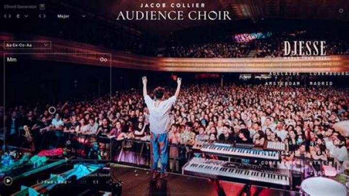 Unveiling The Tapestry Of Jacob Collier's Musical Heritage